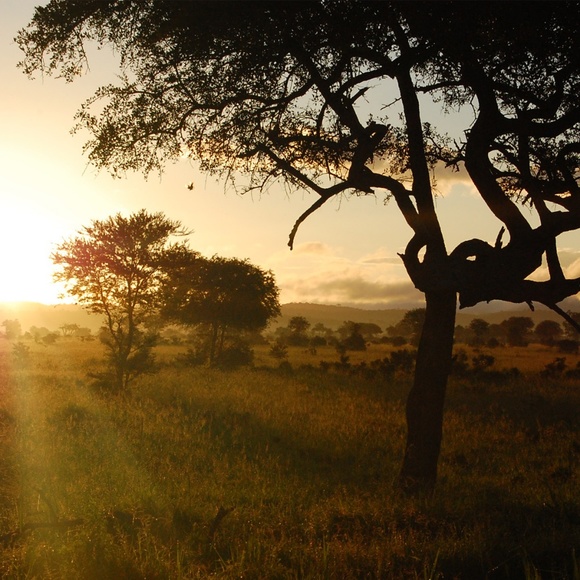 Meet your Posher, Maggie - Picture 3 of 4